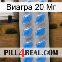 Виагра 20 Мг 22